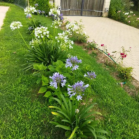 A La Campagne Apartment *